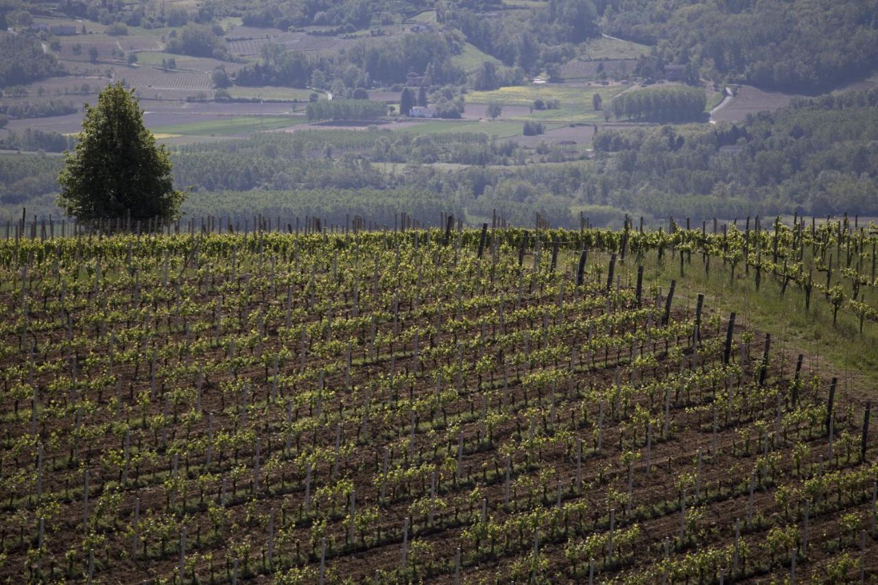Cascina Marcantonio Acqui Terme Exteriér fotografie