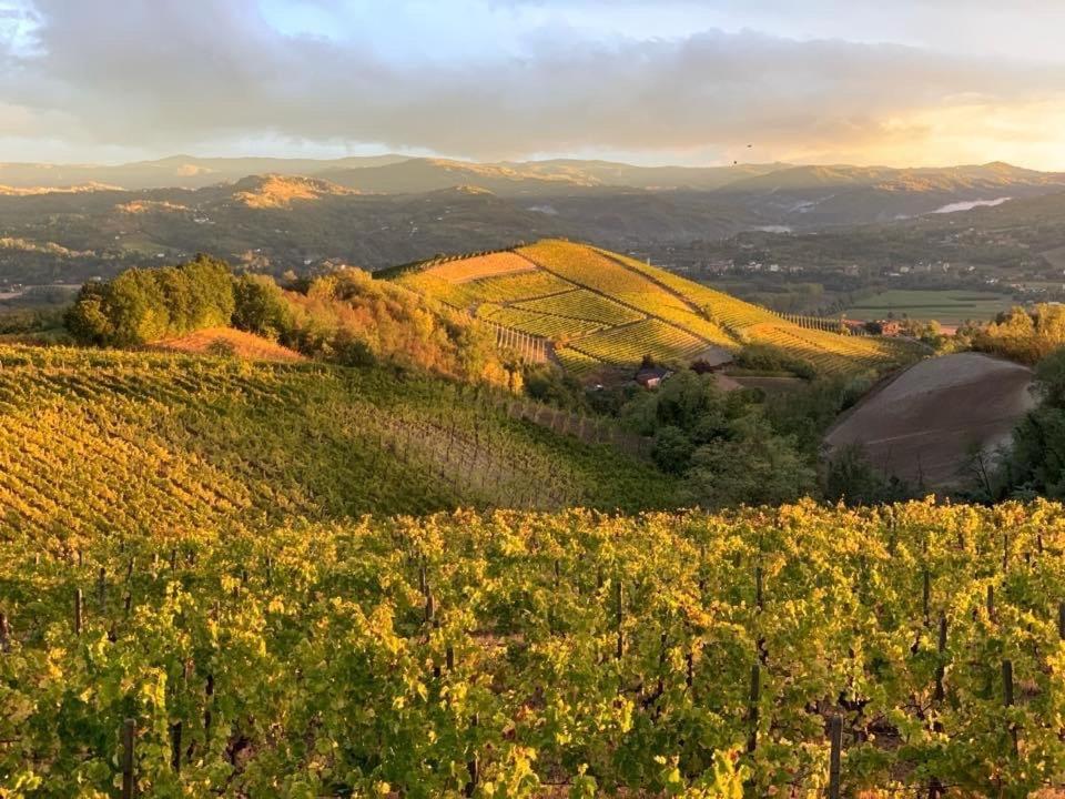 Cascina Marcantonio Acqui Terme Exteriér fotografie