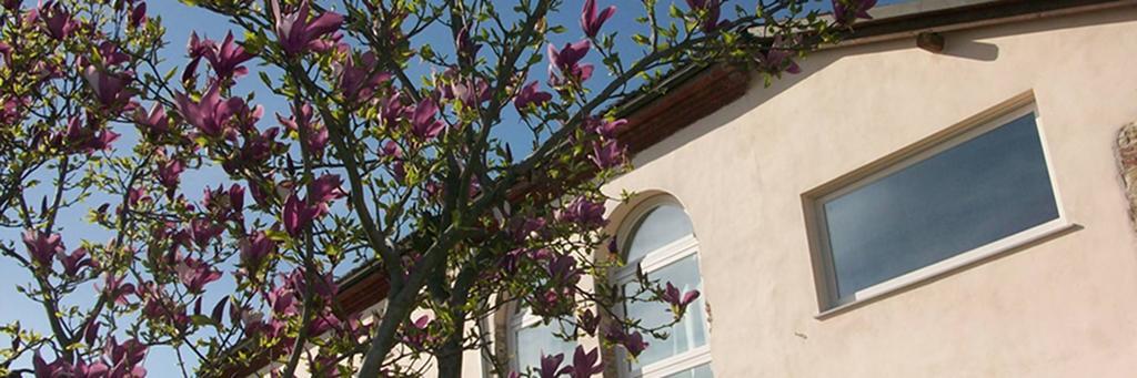 Cascina Marcantonio Acqui Terme Exteriér fotografie
