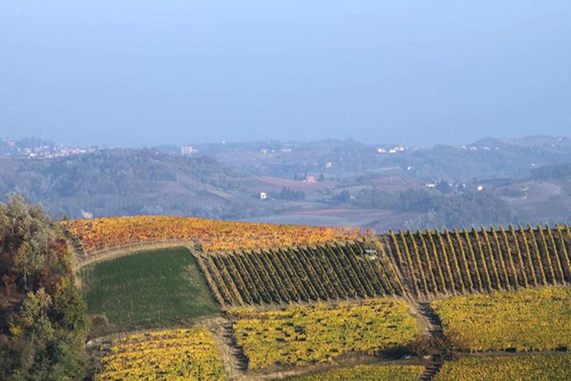 Cascina Marcantonio Acqui Terme Exteriér fotografie